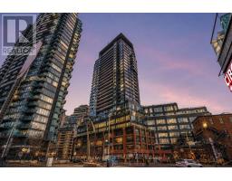 1107 - 135 EAST LIBERTY STREET, Toronto, Ontario