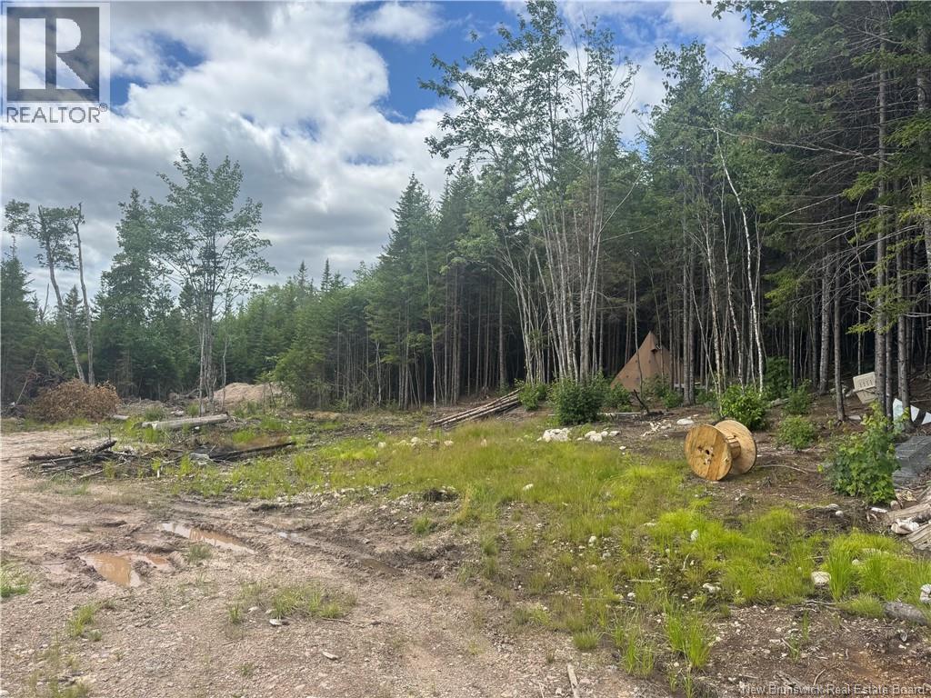 2768 Route 790, Musquash, New Brunswick E5J 3C9 - Photo 4 - NB143752