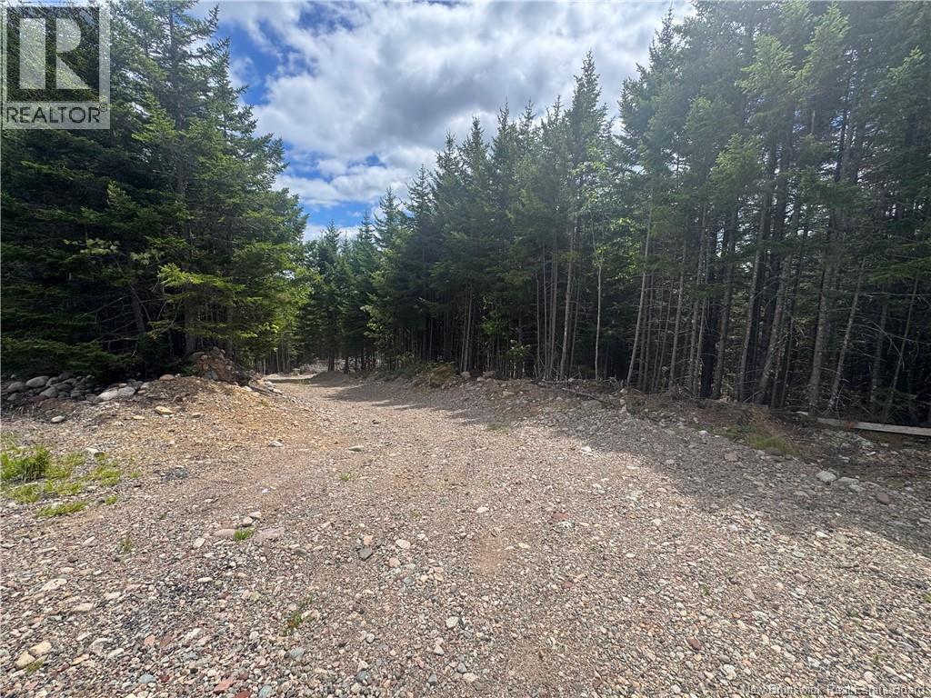 2768 Route 790, Musquash, New Brunswick E5J 3C9 - Photo 9 - NB143752