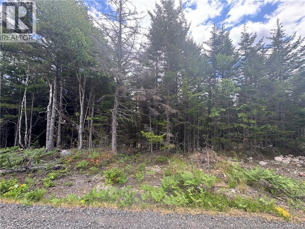 2768 Route 790, Musquash, New Brunswick E5J 3C9 - Photo 6 - NB143752