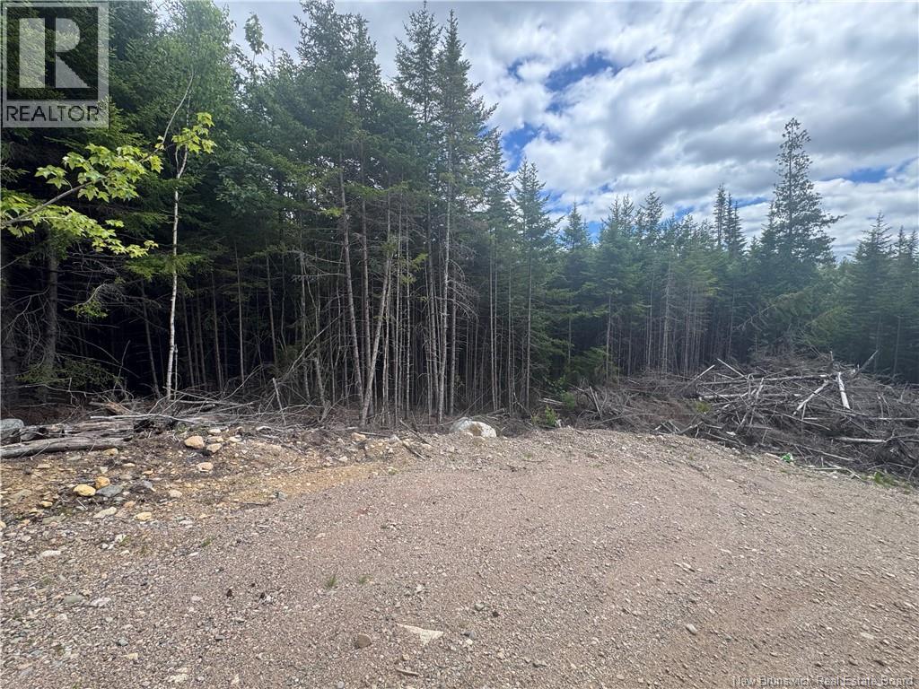 2768 Route 790, Musquash, New Brunswick E5J 3C9 - Photo 11 - NB143752