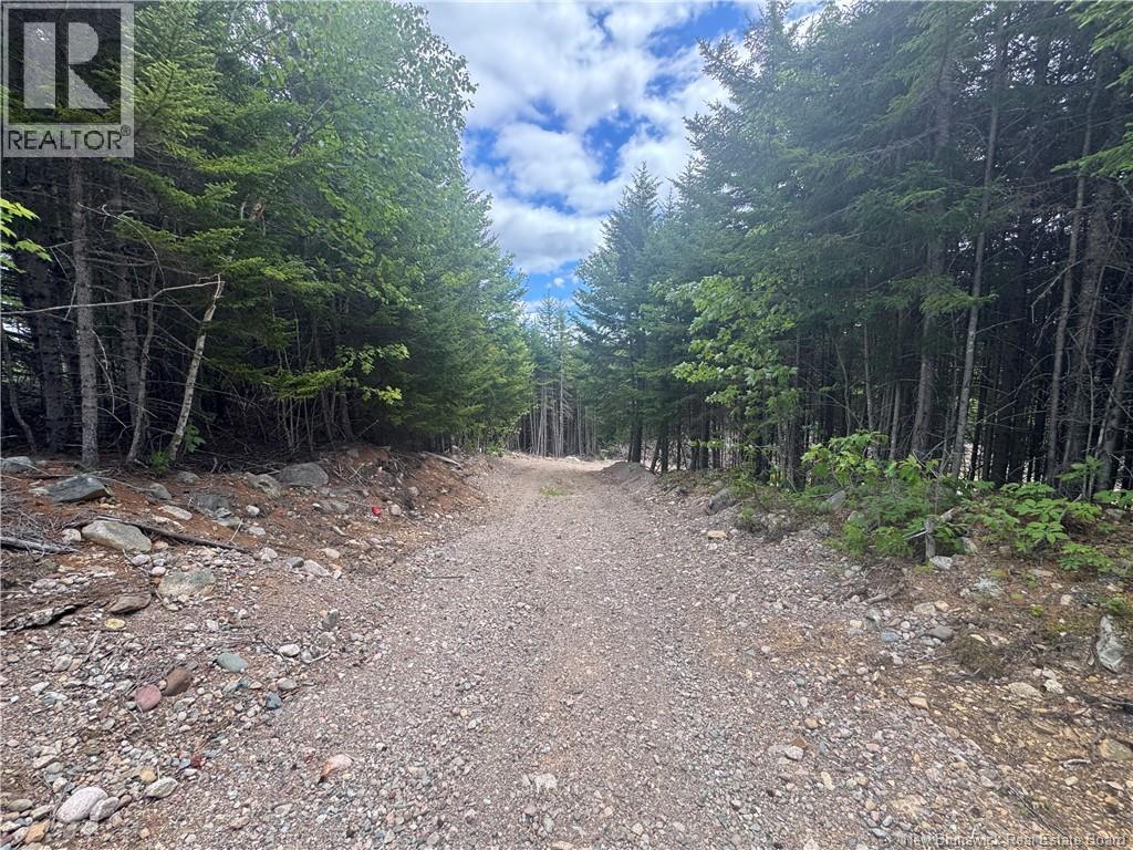 2768 Route 790, Musquash, New Brunswick E5J 3C9 - Photo 10 - NB143752
