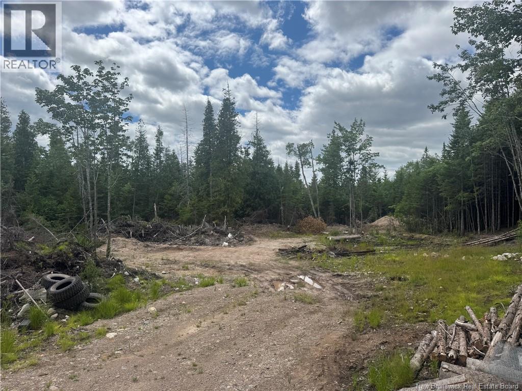 2768 Route 790, Musquash, New Brunswick E5J 3C9 - Photo 1 - NB143752