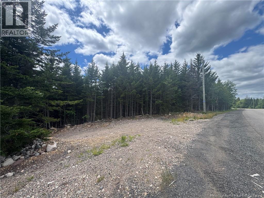 2768 Route 790, Musquash, New Brunswick E5J 3C9 - Photo 7 - NB143752