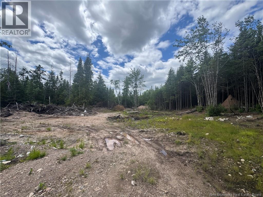 2768 Route 790, Musquash, New Brunswick E5J 3C9 - Photo 5 - NB143752