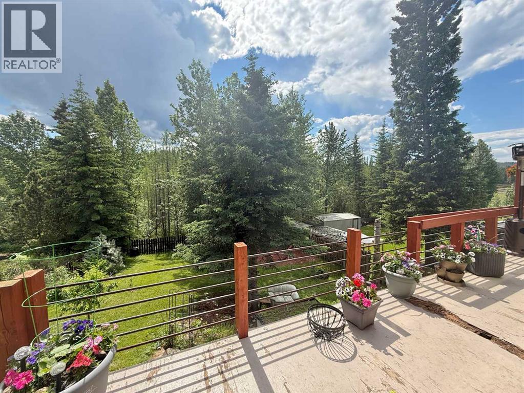 137 Reimer Drive, Hinton, Alberta  T7V 1K1 - Photo 6 - A2323711