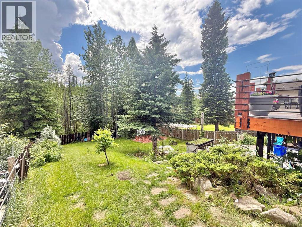 137 Reimer Drive, Hinton, Alberta  T7V 1K1 - Photo 4 - A2323711