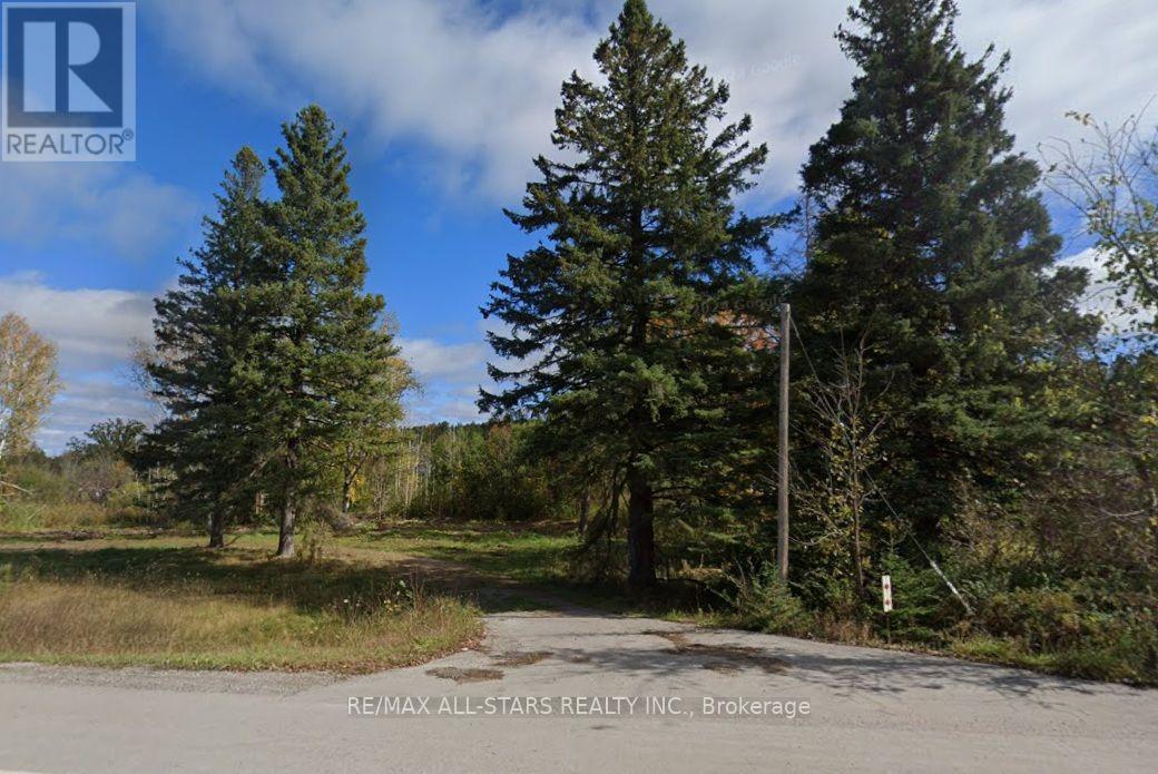 6814 Highway 35 Road, Kawartha Lakes, Ontario  K0M 2K0 - Photo 2 - X13609508