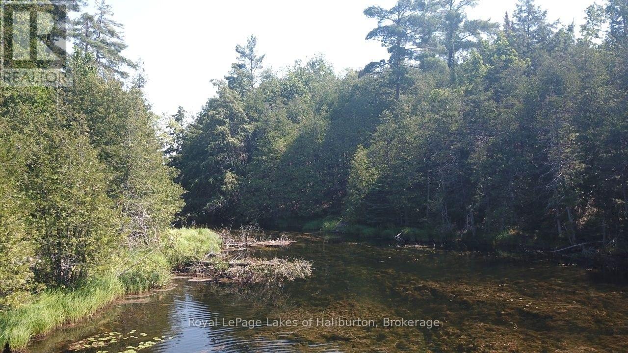 Beside 1456 Crystal Lake Road, Trent Lakes, Ontario  K0M 2A0 - Photo 22 - X13604358
