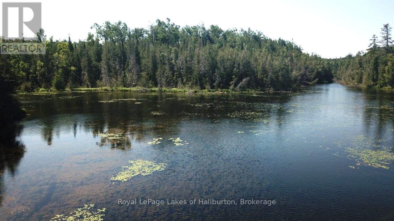 Beside 1456 Crystal Lake Road, Trent Lakes, Ontario  K0M 2A0 - Photo 23 - X13604358
