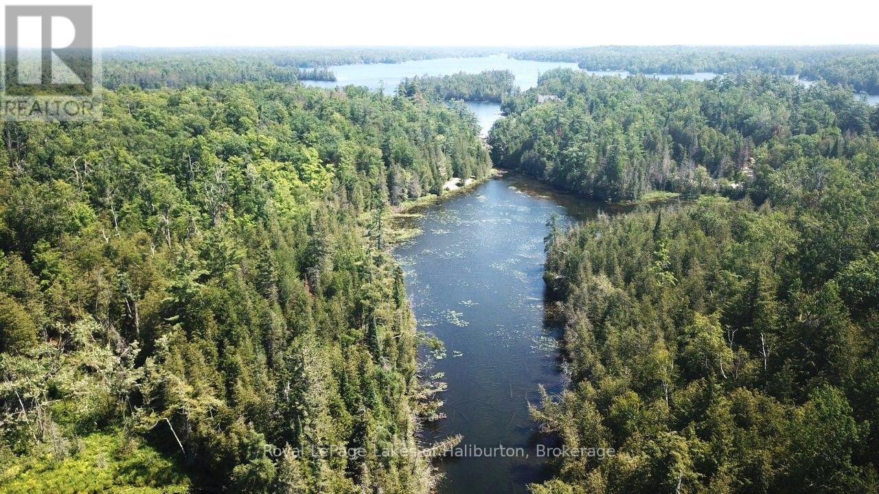 Beside 1456 Crystal Lake Road, Trent Lakes, Ontario  K0M 2A0 - Photo 25 - X13604358
