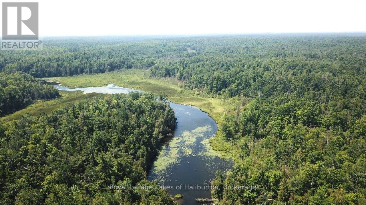 Beside 1456 Crystal Lake Road, Trent Lakes, Ontario  K0M 2A0 - Photo 24 - X13604358