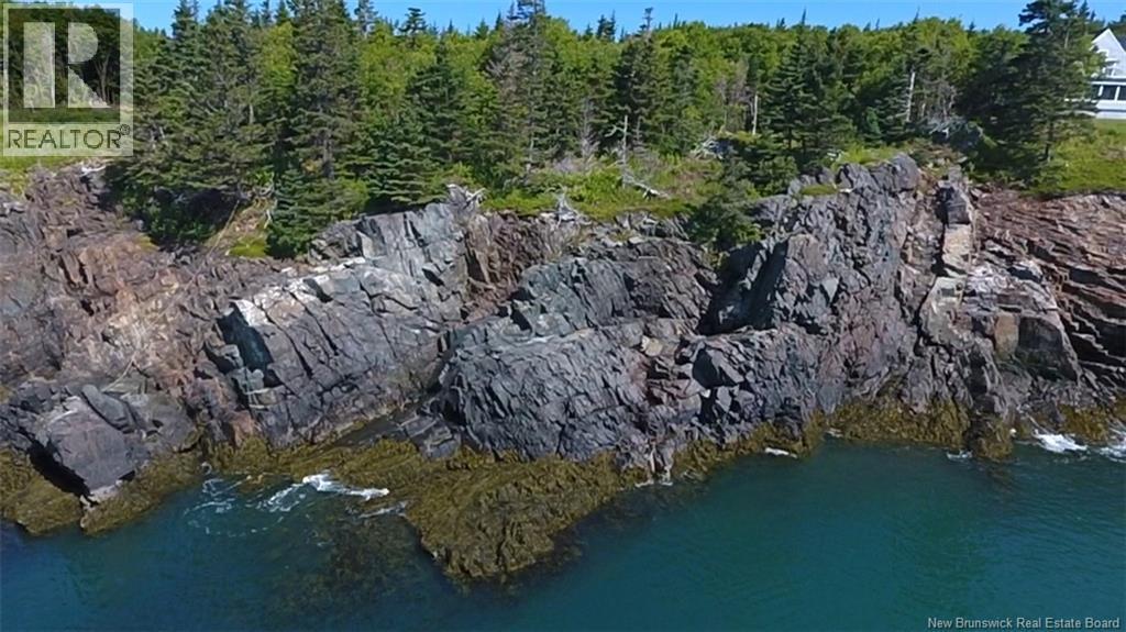 244 Fundy Drive, Campobello Island, New Brunswick  E5E 1X2 - Photo 4 - NB142885