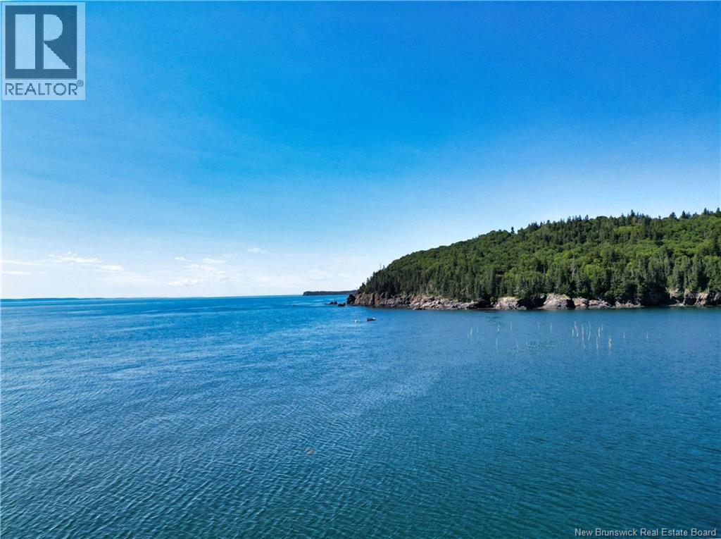 244 Fundy Drive, Campobello Island, New Brunswick  E5E 1X2 - Photo 9 - NB142885
