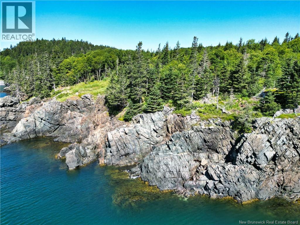 244 Fundy Drive, Campobello Island, New Brunswick  E5E 1X2 - Photo 10 - NB142885