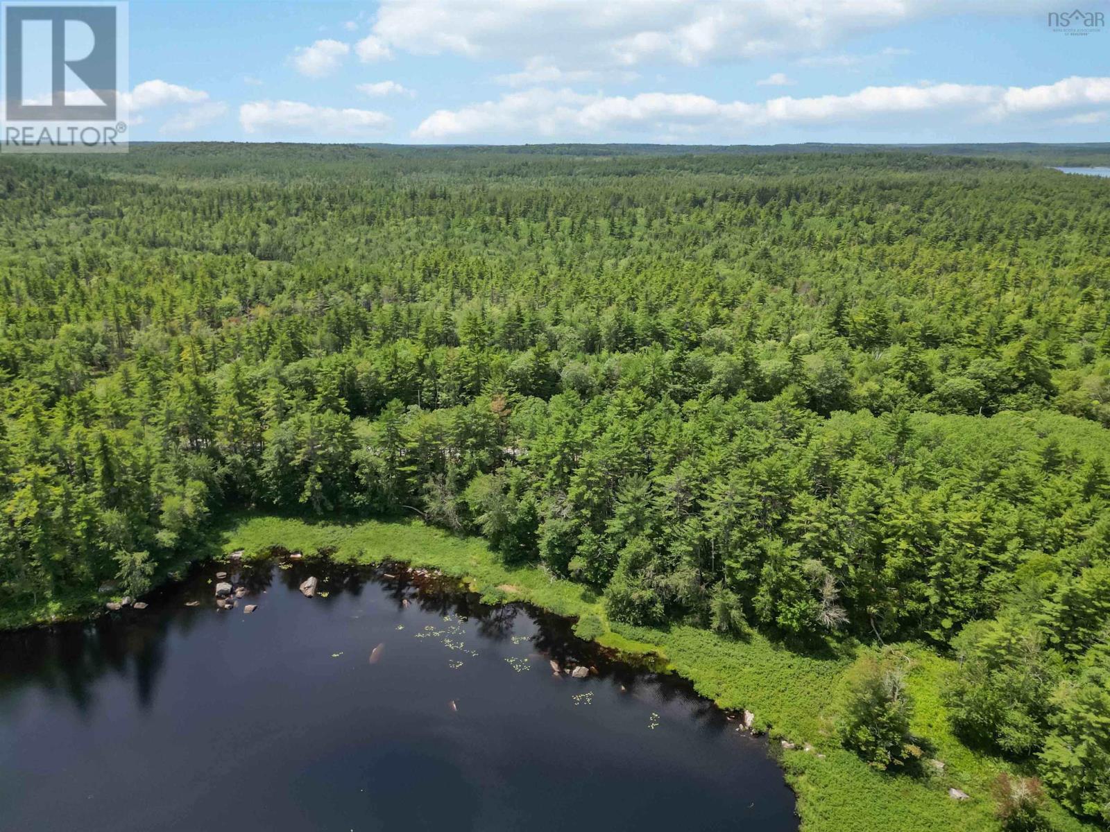 Lot 1 Highway 8, South Brookfield, Nova Scotia  B0T 1X0 - Photo 4 - 202618774