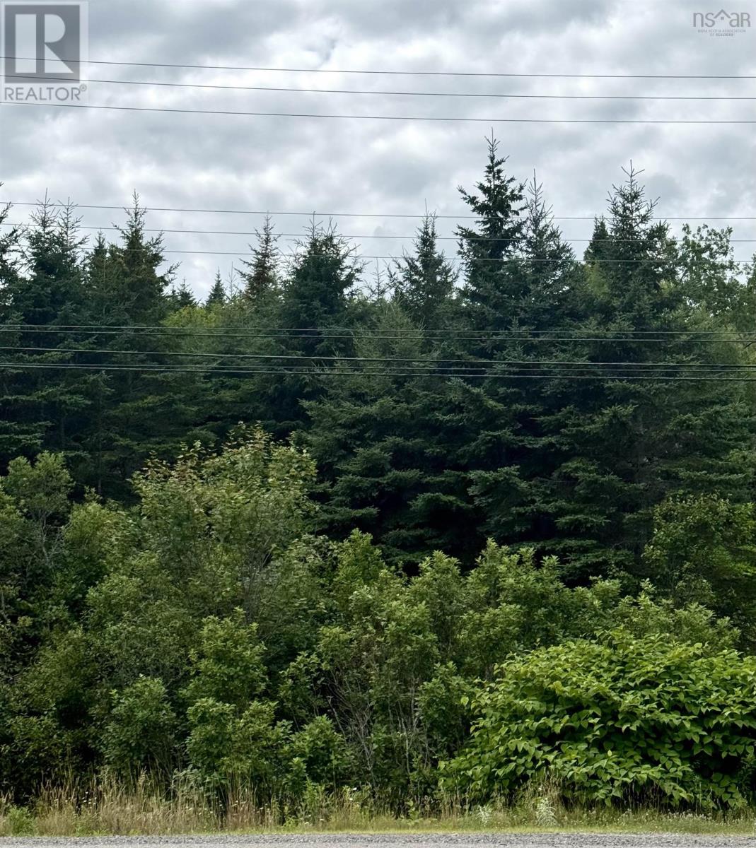 496 Highway 4, folly lake, Nova Scotia