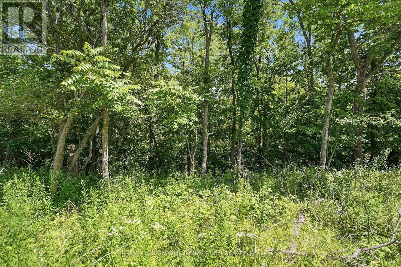 1502 Winter Drive, Adelaide Metcalfe, Ontario  N7G 3H5 - Photo 40 - X13610104
