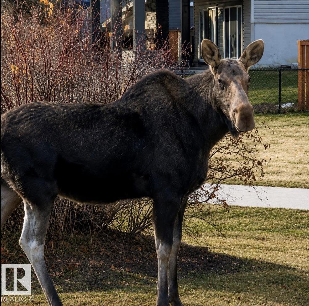 12737 205 St NW, Edmonton, Alberta  T5S 0L8 - Photo 42 - E4500905