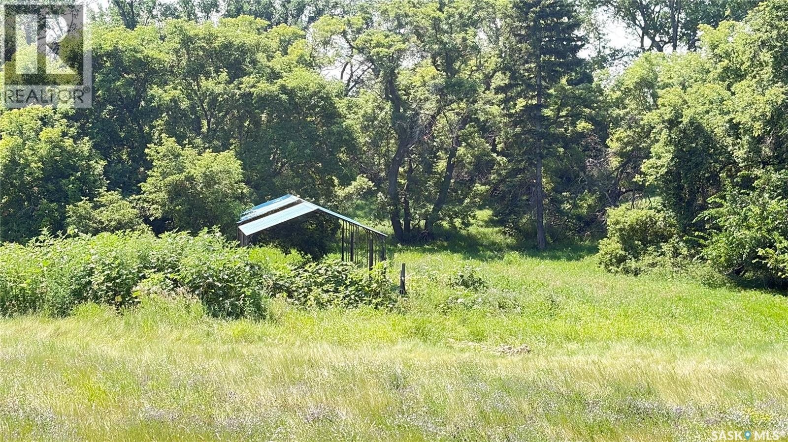 Rural Address, Carmichael Rm No. 109, Saskatchewan  S0N 2S0 - Photo 15 - SK043776