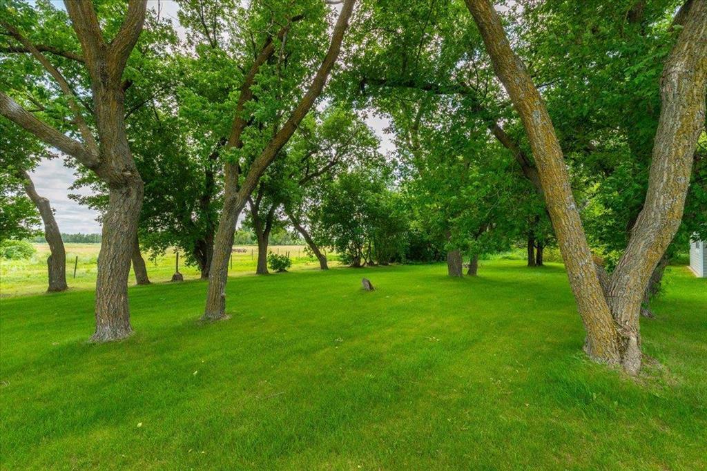 25061 12 Road N, Roseau River, Manitoba  R0A 1N0 - Photo 21 - 202618698