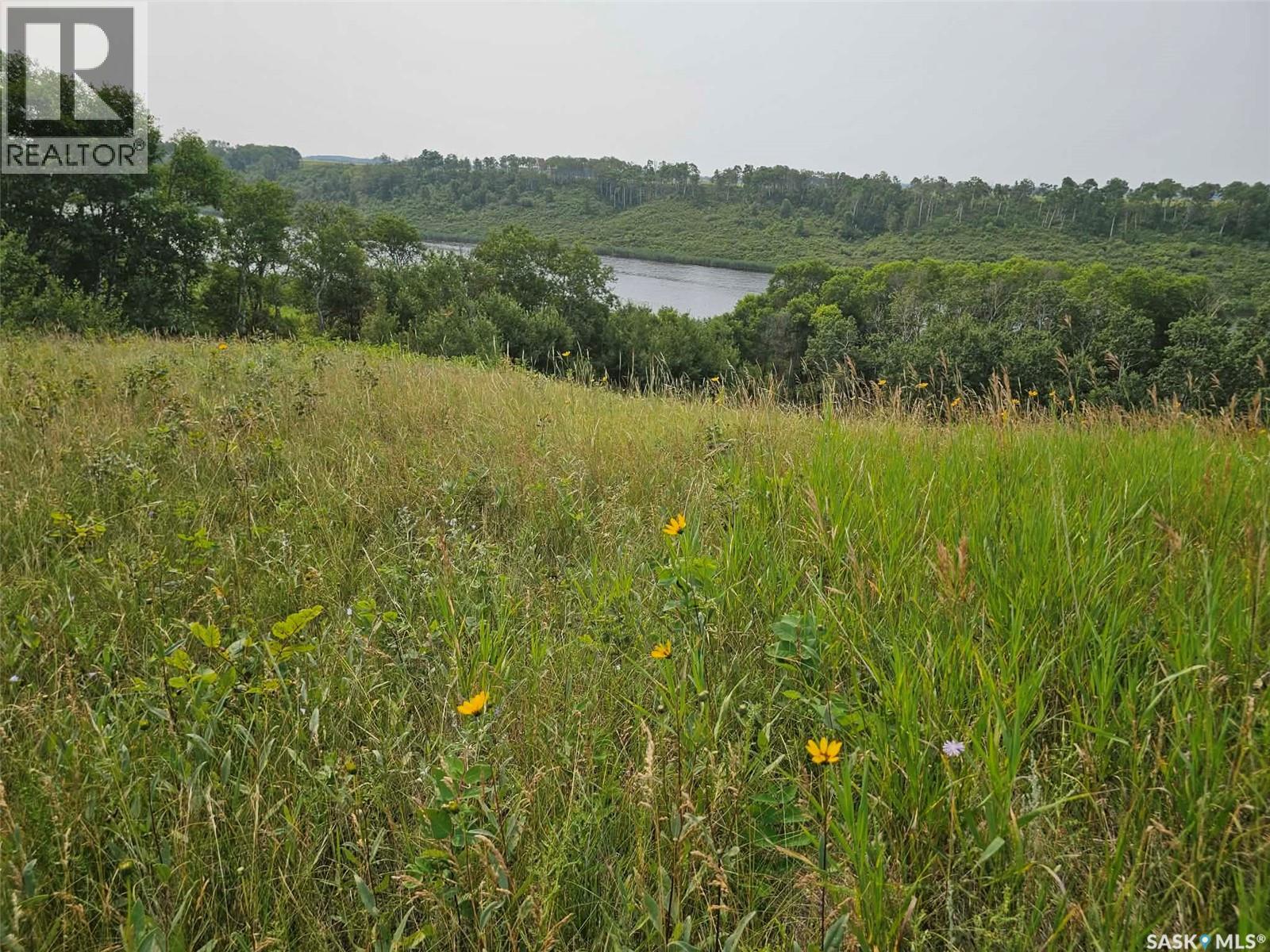 Kaposvar Waterfront 26 Acres, Kaposvar Lake, Saskatchewan  S0A 0X0 - Photo 5 - SK043270