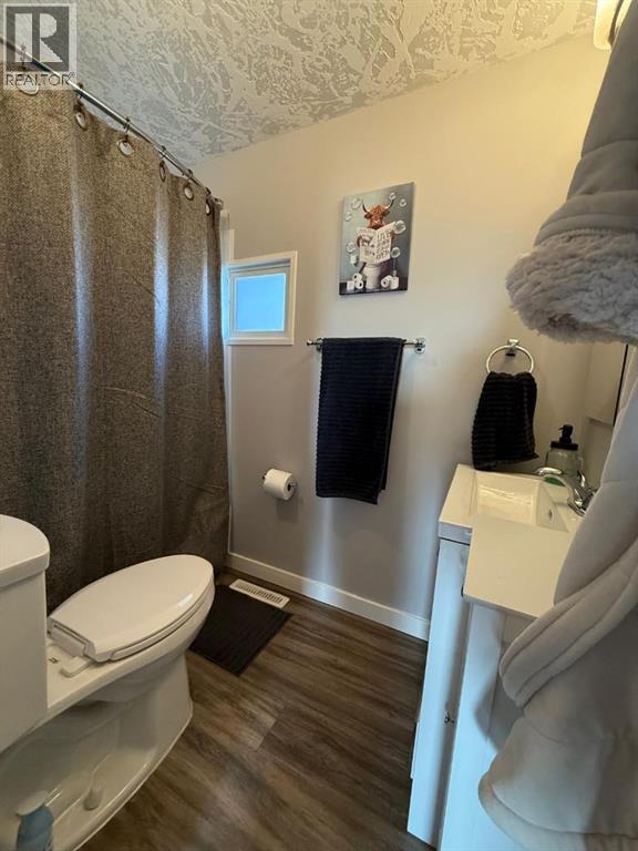 4712 52nd Avenue, High Prairie, Alberta  T0G 1E0 - Photo 10 - A2263512