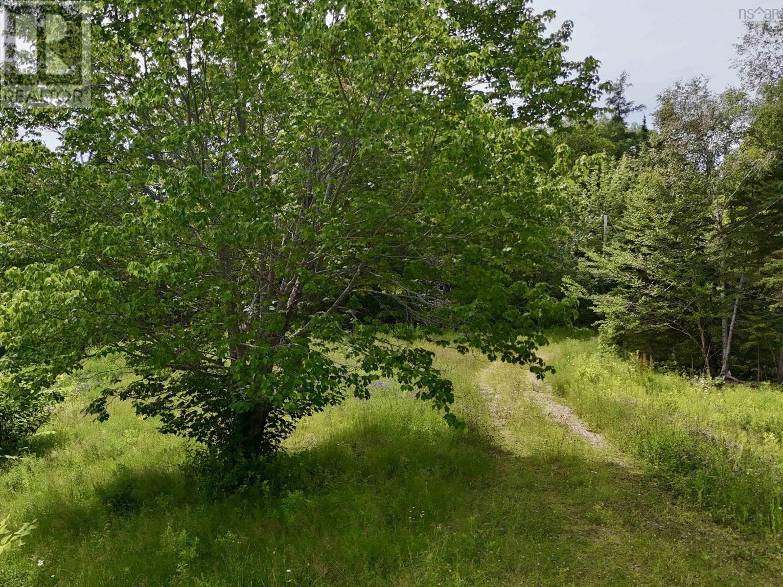 picture 24