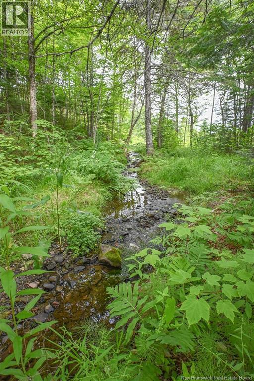 Lot Du Parc Street, Paquetville, New Brunswick  E8R 1J5 - Photo 8 - NB144377