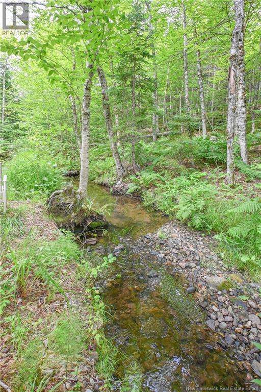 Lot Du Parc Street, Paquetville, New Brunswick  E8R 1J5 - Photo 7 - NB144377