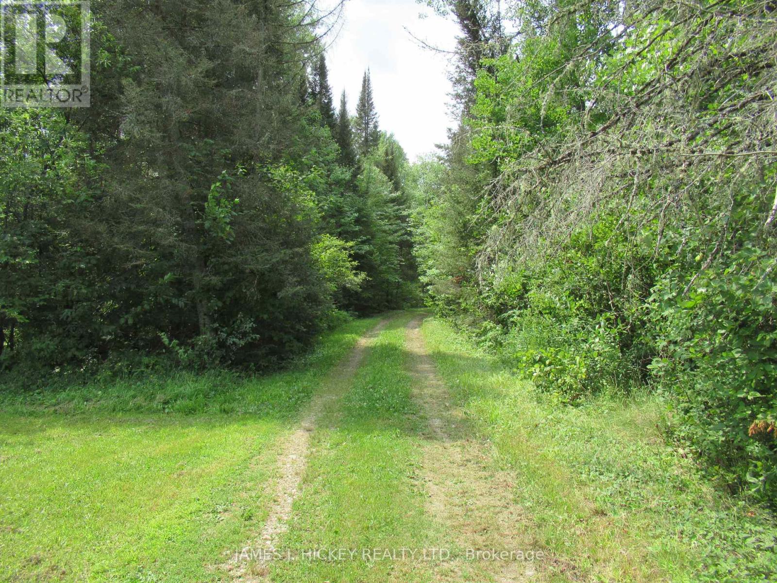 601 Mackey Creek Road, Head, Ontario  K0J 2B0 - Photo 14 - X13610582