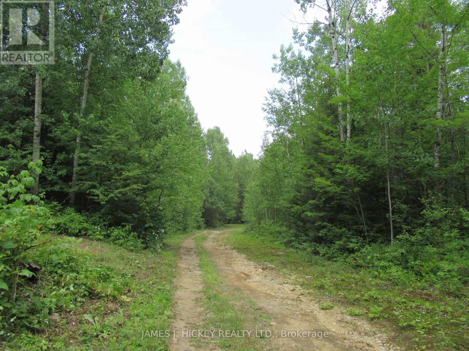 601 Mackey Creek Road, Head, Ontario  K0J 2B0 - Photo 15 - X13610582
