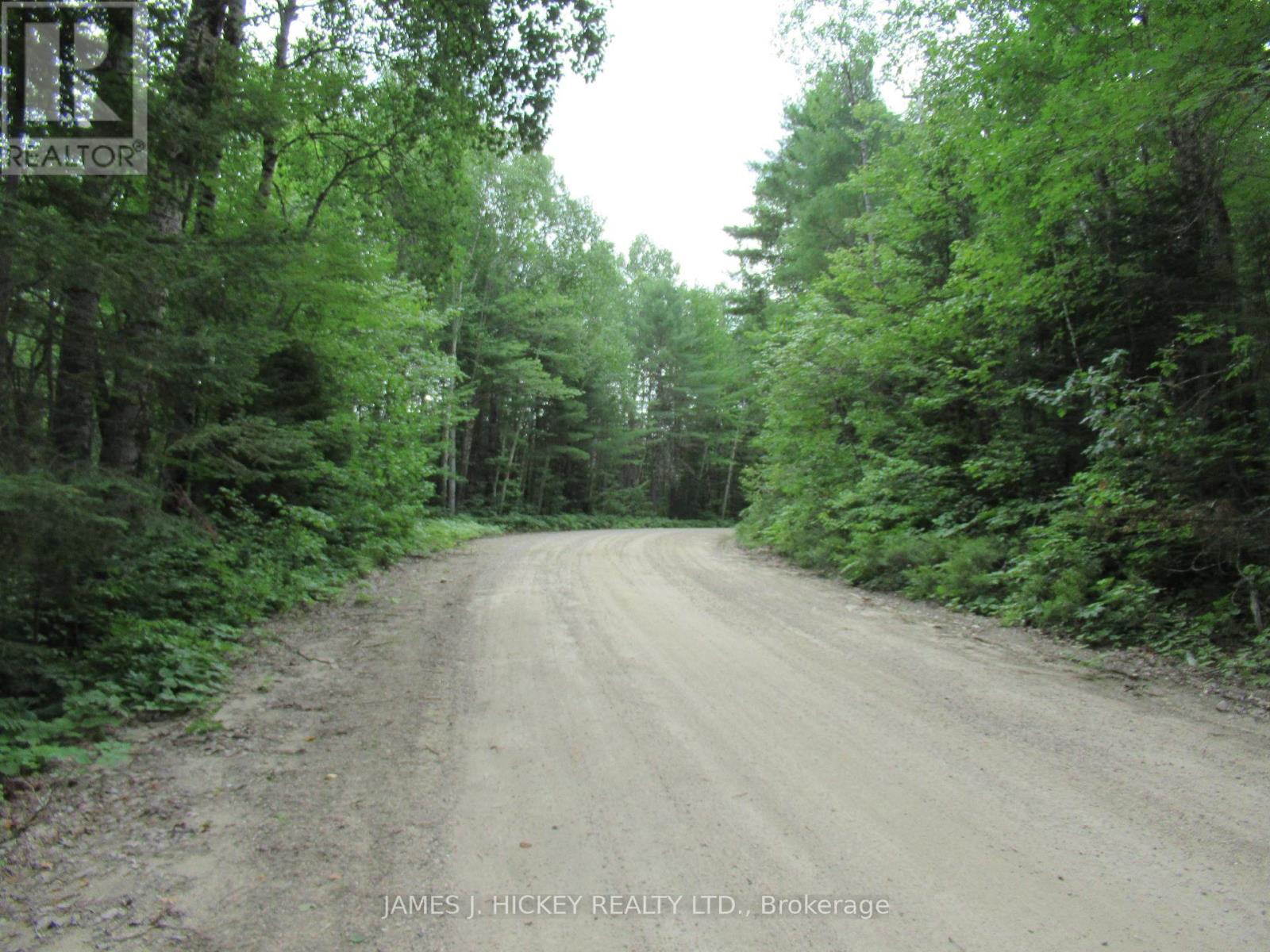 601 Mackey Creek Road, Head, Ontario  K0J 2B0 - Photo 16 - X13610582