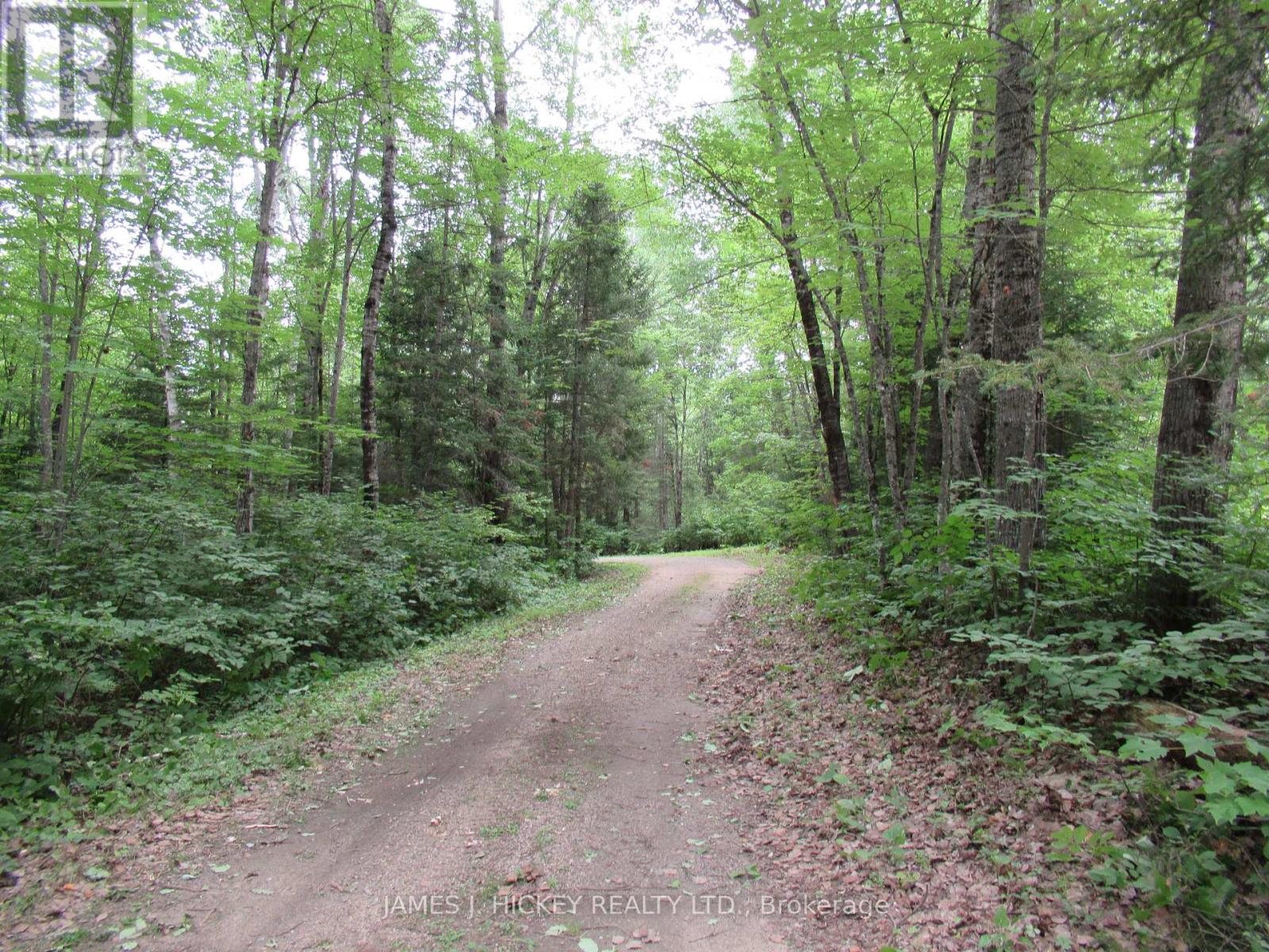 601 Mackey Creek Road, Head, Ontario  K0J 2B0 - Photo 2 - X13610582