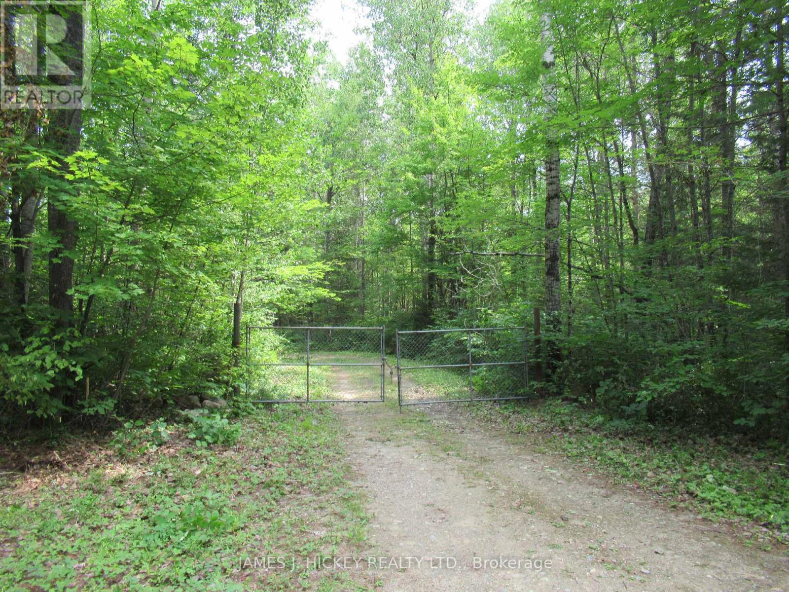 601 Mackey Creek Road, Head, Ontario  K0J 2B0 - Photo 3 - X13610582