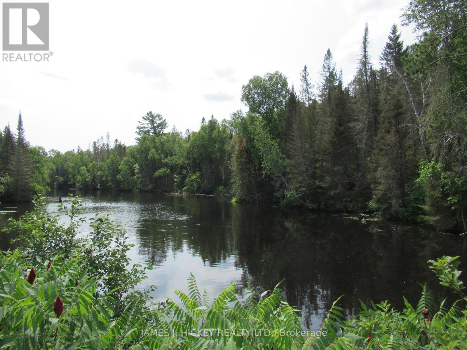 601 Mackey Creek Road, Head, Ontario  K0J 2B0 - Photo 7 - X13610582