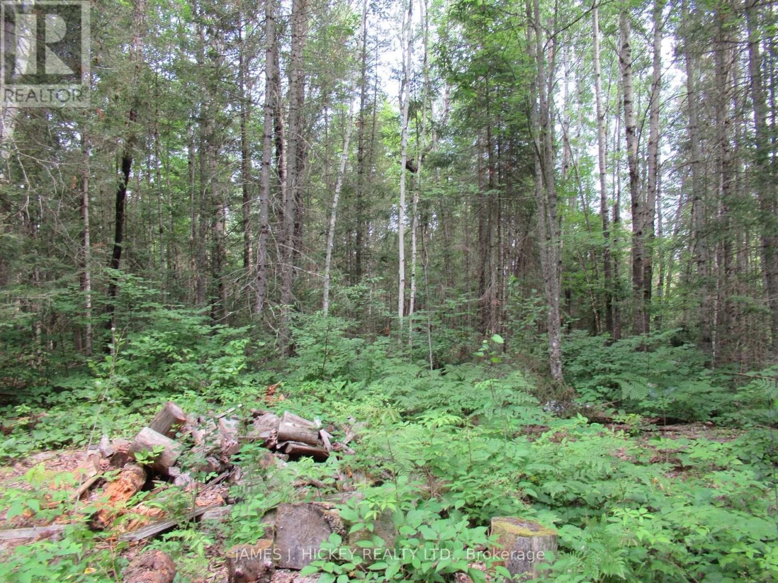 601 Mackey Creek Road, Head, Ontario  K0J 2B0 - Photo 8 - X13610582