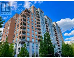 203 - 29 NORTHERN HEIGHTS DRIVE, Richmond Hill, Ontario