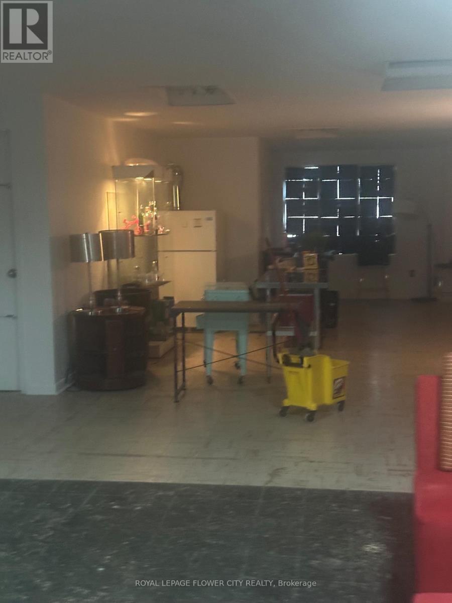 2nd Floor - 329 Spadina Avenue, Toronto (Kensington-Chinatown), Ontario  M5T 2E9 - Photo 4 - C13610586