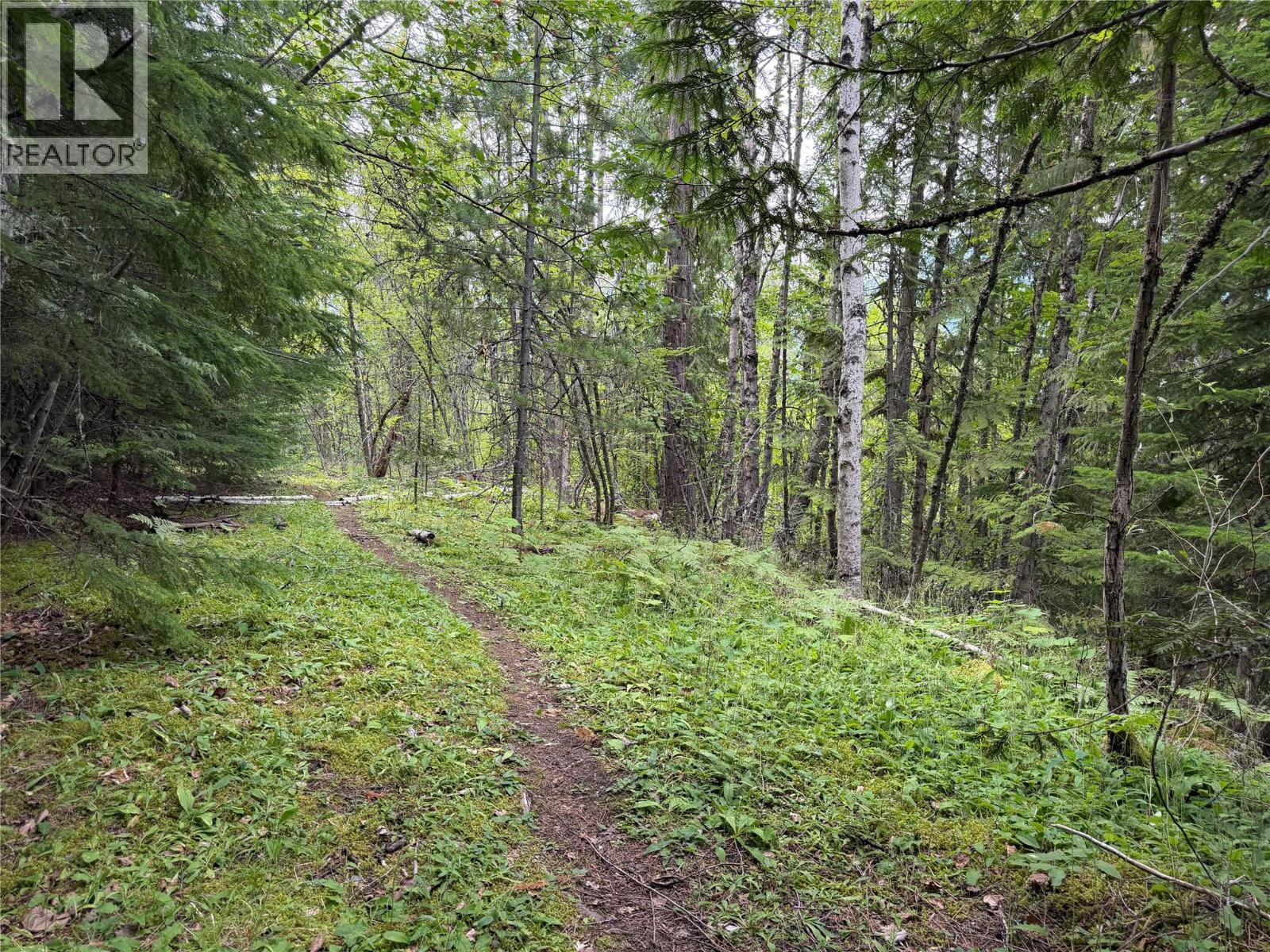 Choquette Avenue Lot# 4, Nelson, British Columbia  V1L 5V1 - Photo 9 - 10395559