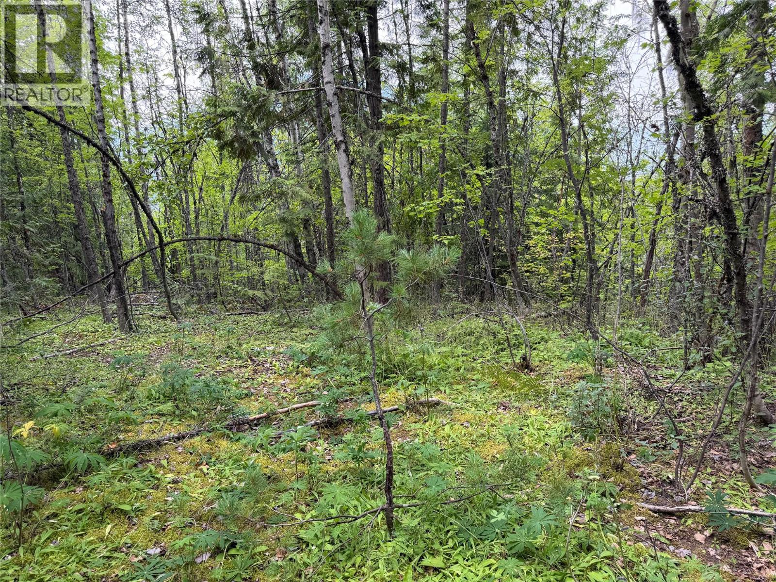 Choquette Avenue Lot# 4, Nelson, British Columbia  V1L 5V1 - Photo 11 - 10395559