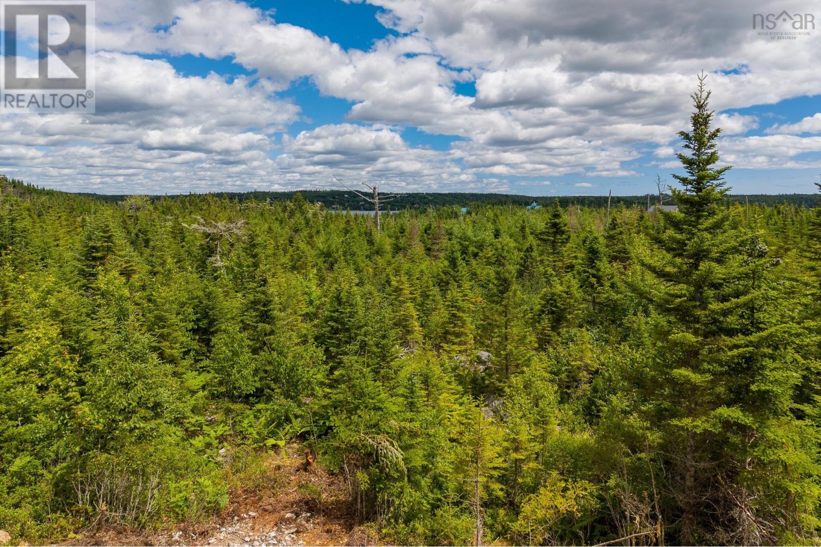 Lot 4-B West Petpeswick Road, Musquodoboit Harbour, Nova Scotia  B0J 2L0 - Photo 14 - 202514974