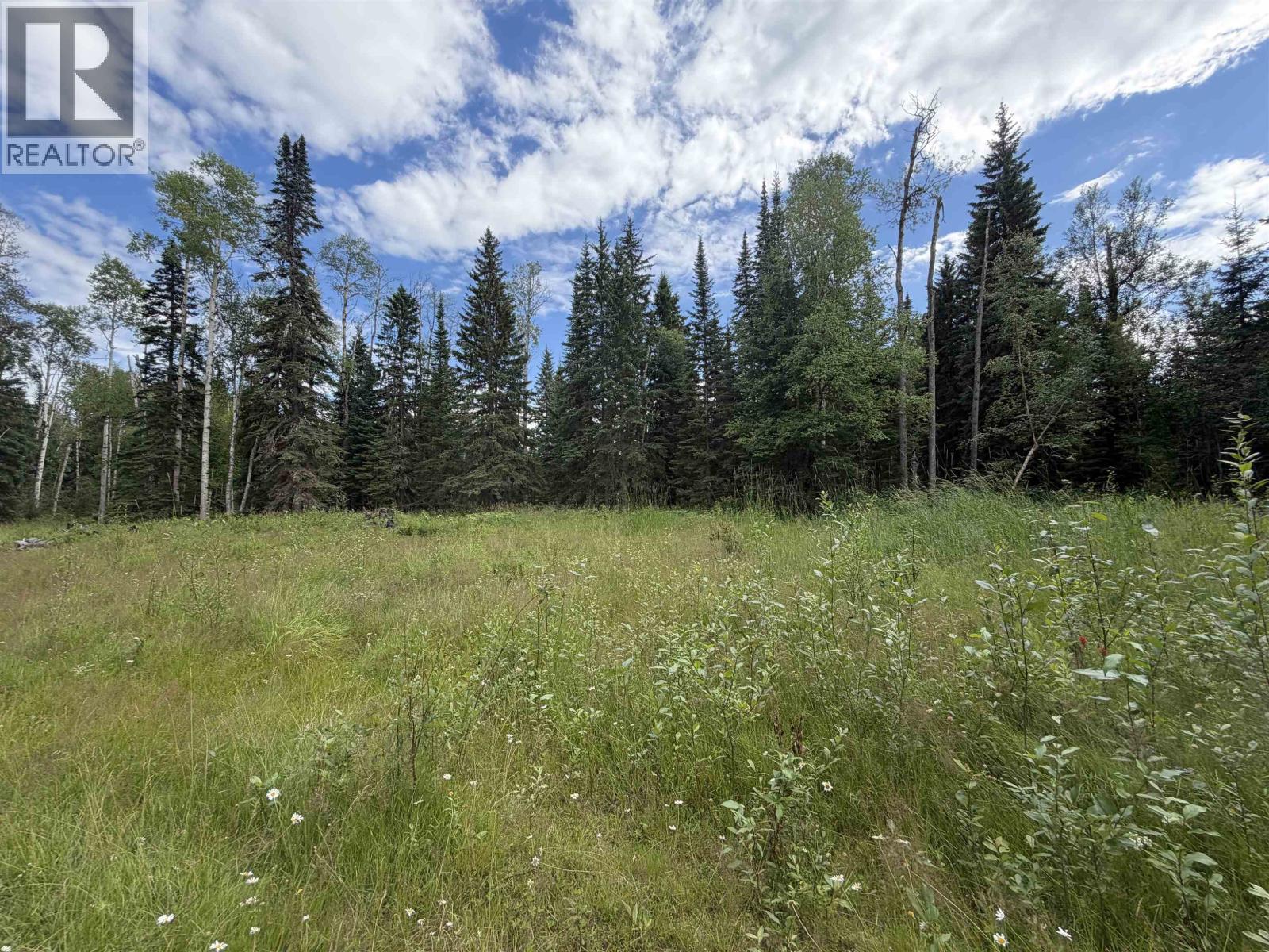 9628 Annegene Road, Prince George, British Columbia  V2K 5G9 - Photo 4 - R3150166
