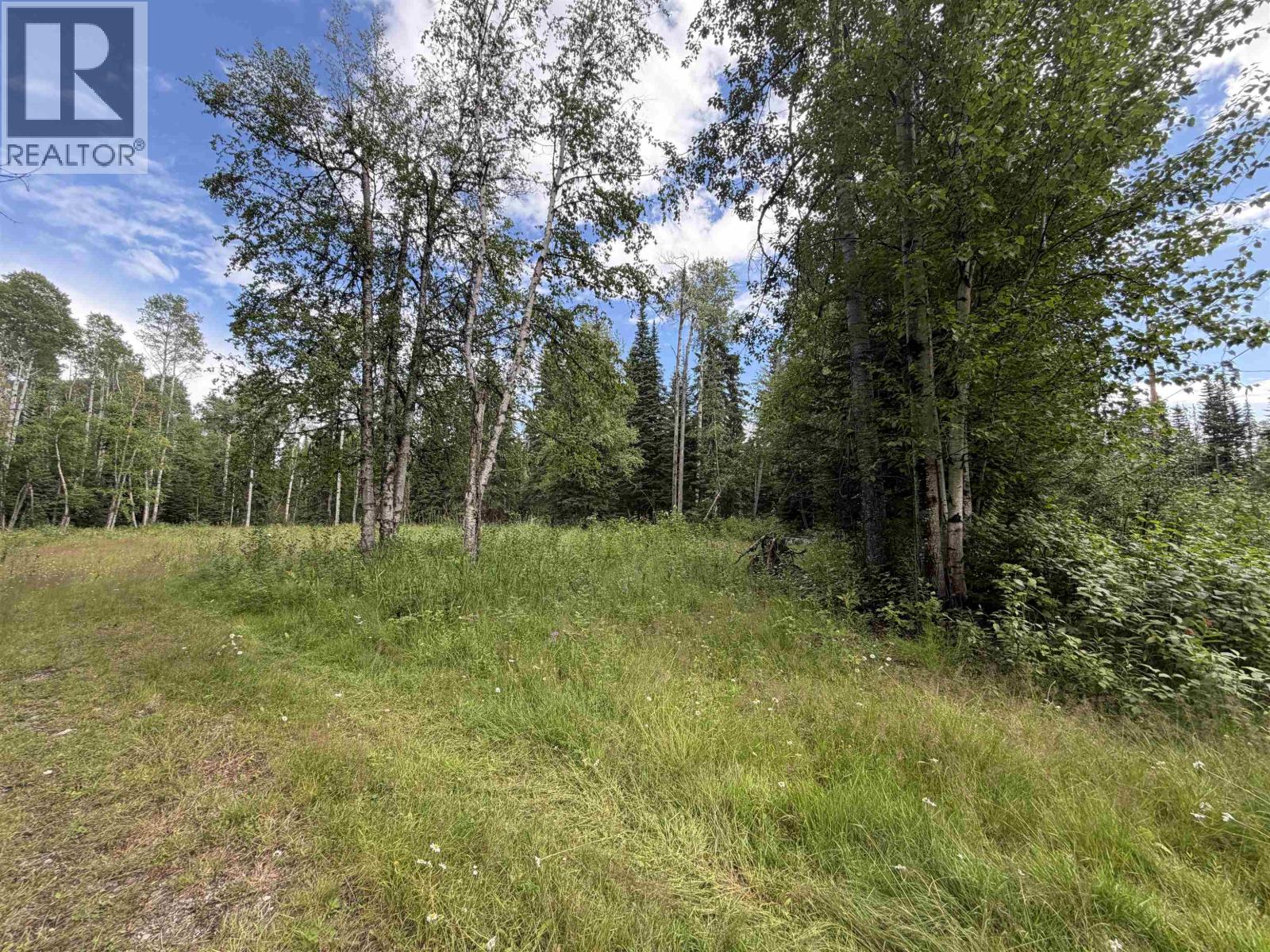 9628 Annegene Road, Prince George, British Columbia  V2K 5G9 - Photo 5 - R3150166