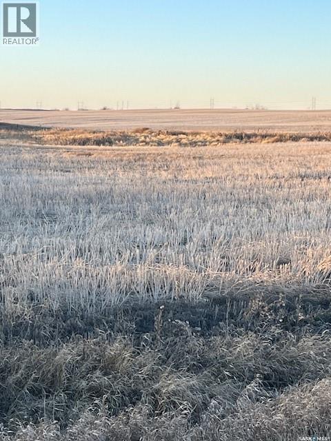 Fortnum Land Tender, Colonsay Rm No. 342, Saskatchewan  S0K 0Z0 - Photo 3 - SK043823
