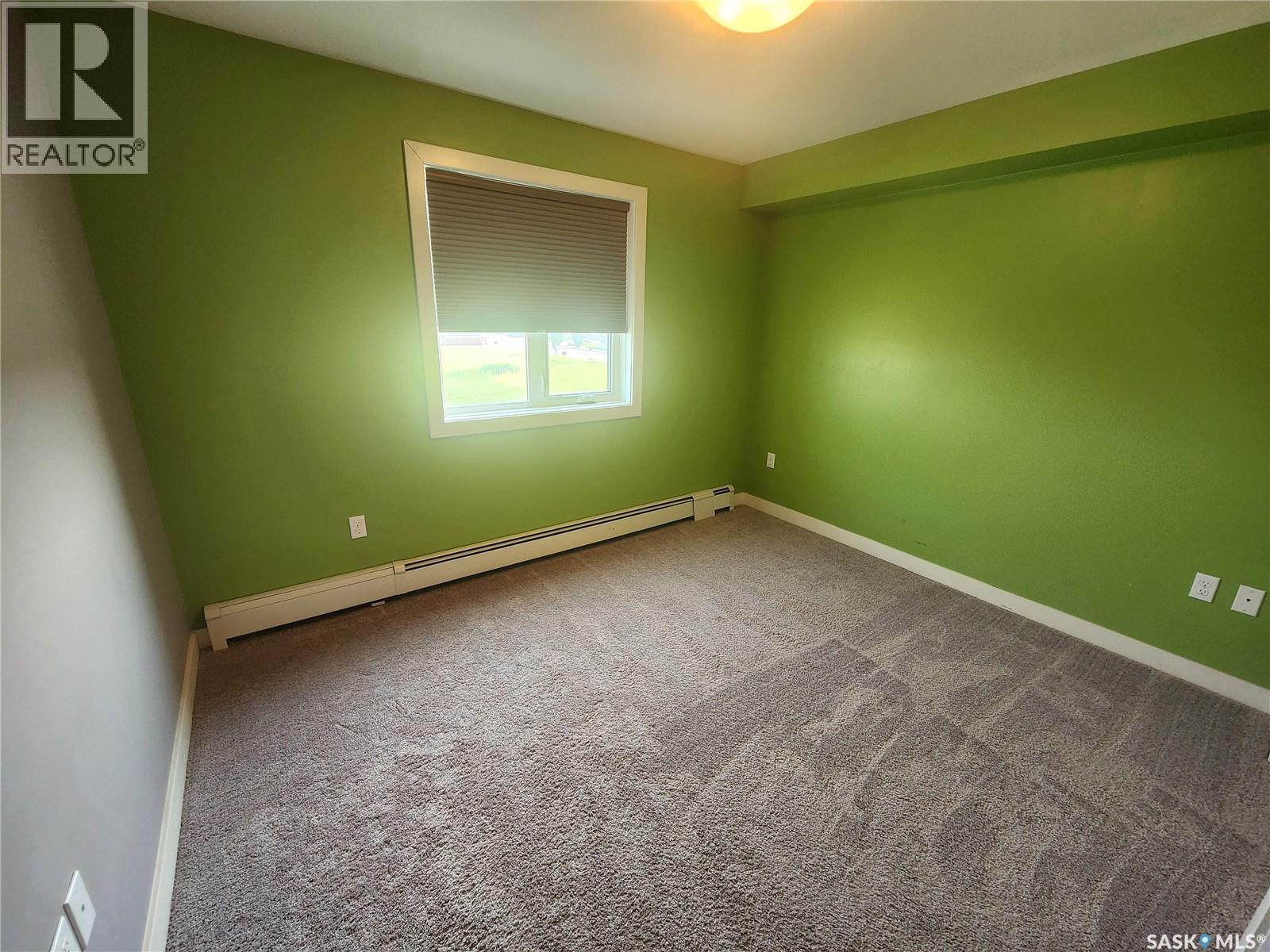 310 308 Petterson Drive, Estevan, Saskatchewan  S4A 2B8 - Photo 19 - SK043822