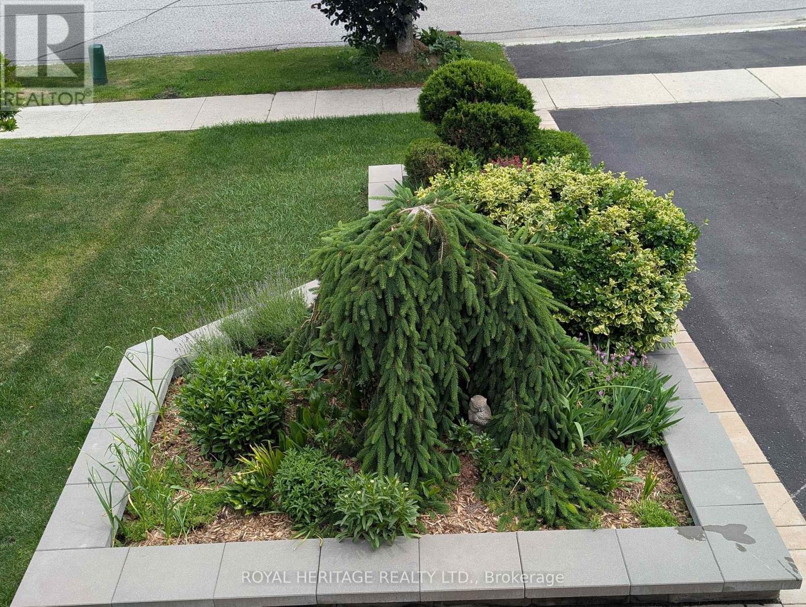 51 Gloria Crescent, Whitby, Ontario  L1P 1V3 - Photo 3 - E13610930