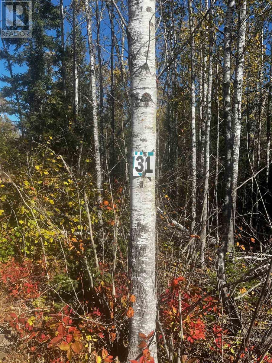 Lot 31 Grann Drive, Shuniah On, Ontario  P0T 2M0 - Photo 5 - TB2601024