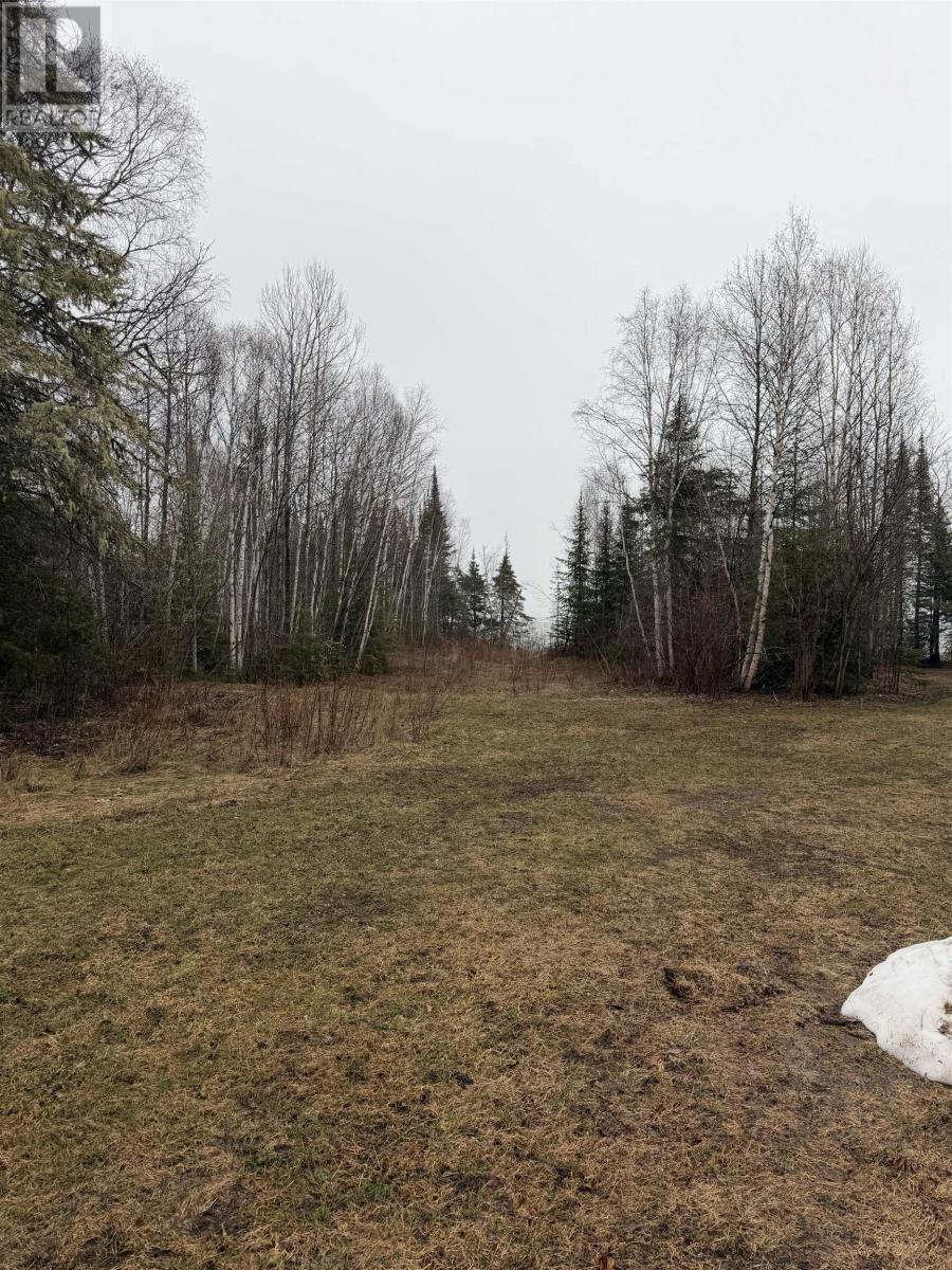 Lot 10 Grann Drive, Shuniah, Ontario P0T 2M0 - Photo 6 - TB2601011