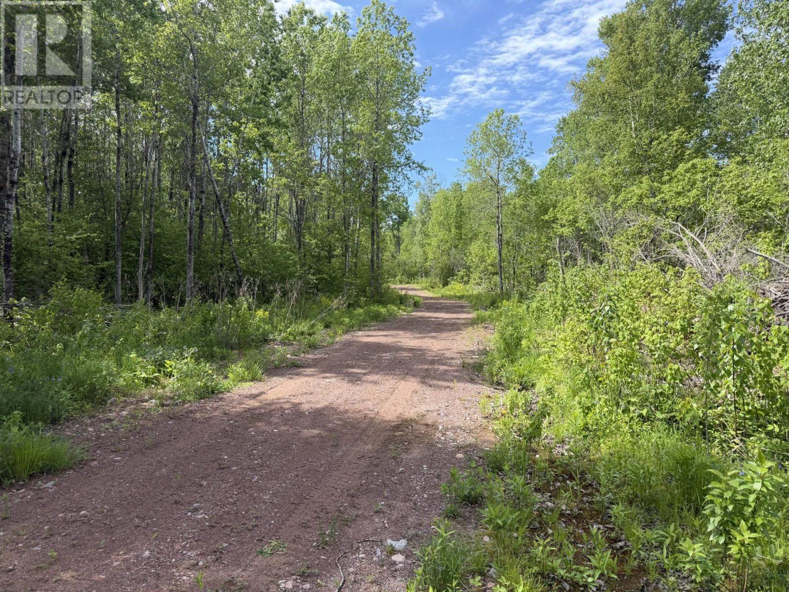 Lot 4 Pearl Bay Rd, Shuniah, Ontario P0T 2M0 - Photo 2 - TB2601470
